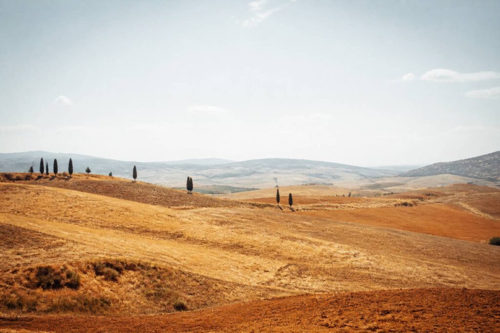 Collines des Marches dorées et sèches sous un ciel blanc de canicule